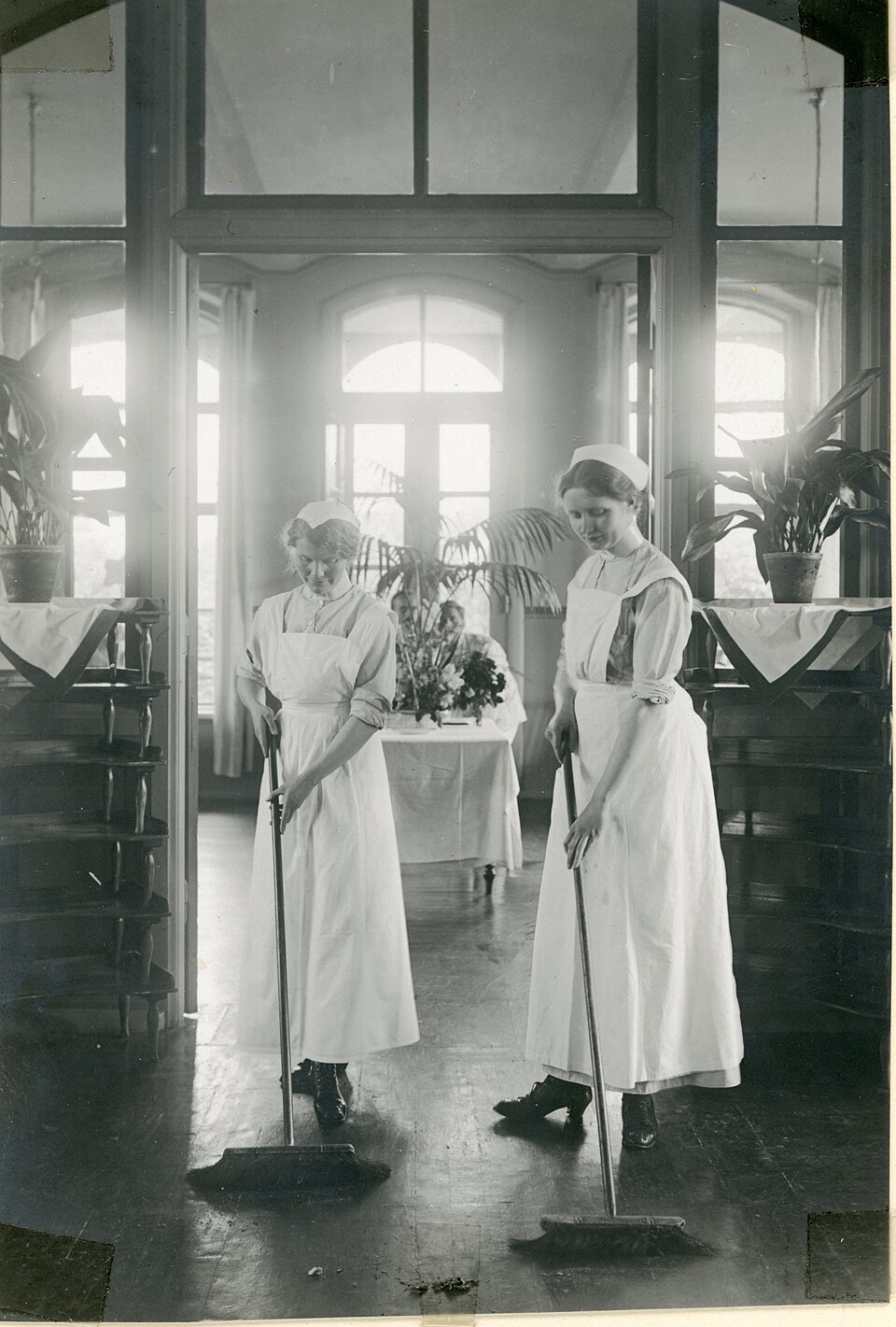 Bionettoyage & hygiène des locaux